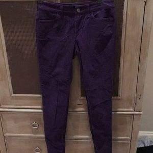 Purple, velvet, women’s pants. Ann Taylor